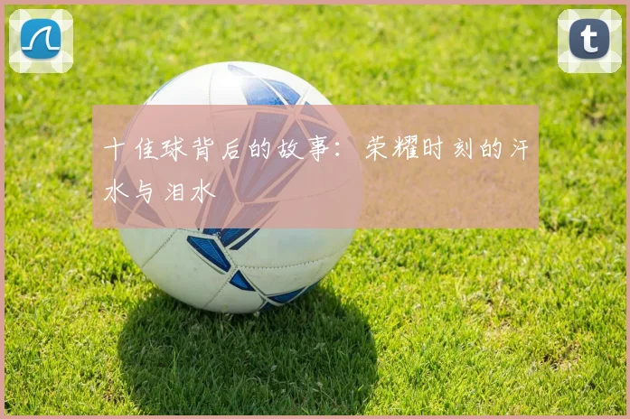 十佳球背后的故事：荣耀时刻的汗水与泪水