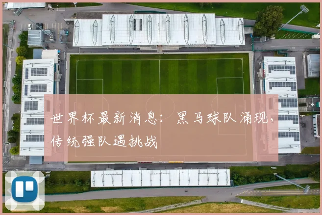 世界杯最新消息：黑马球队涌现，传统强队遇挑战