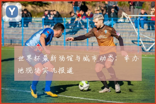 世界杯最新场馆与城市动态：举办地现场实况报道
